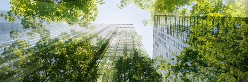 Sustainable business travel tips for CIOs