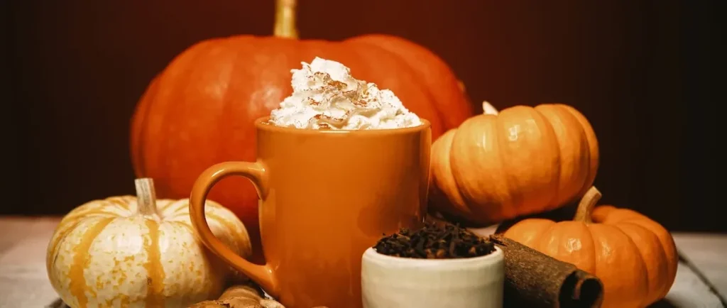 Which fall activities do Americans plan to do?